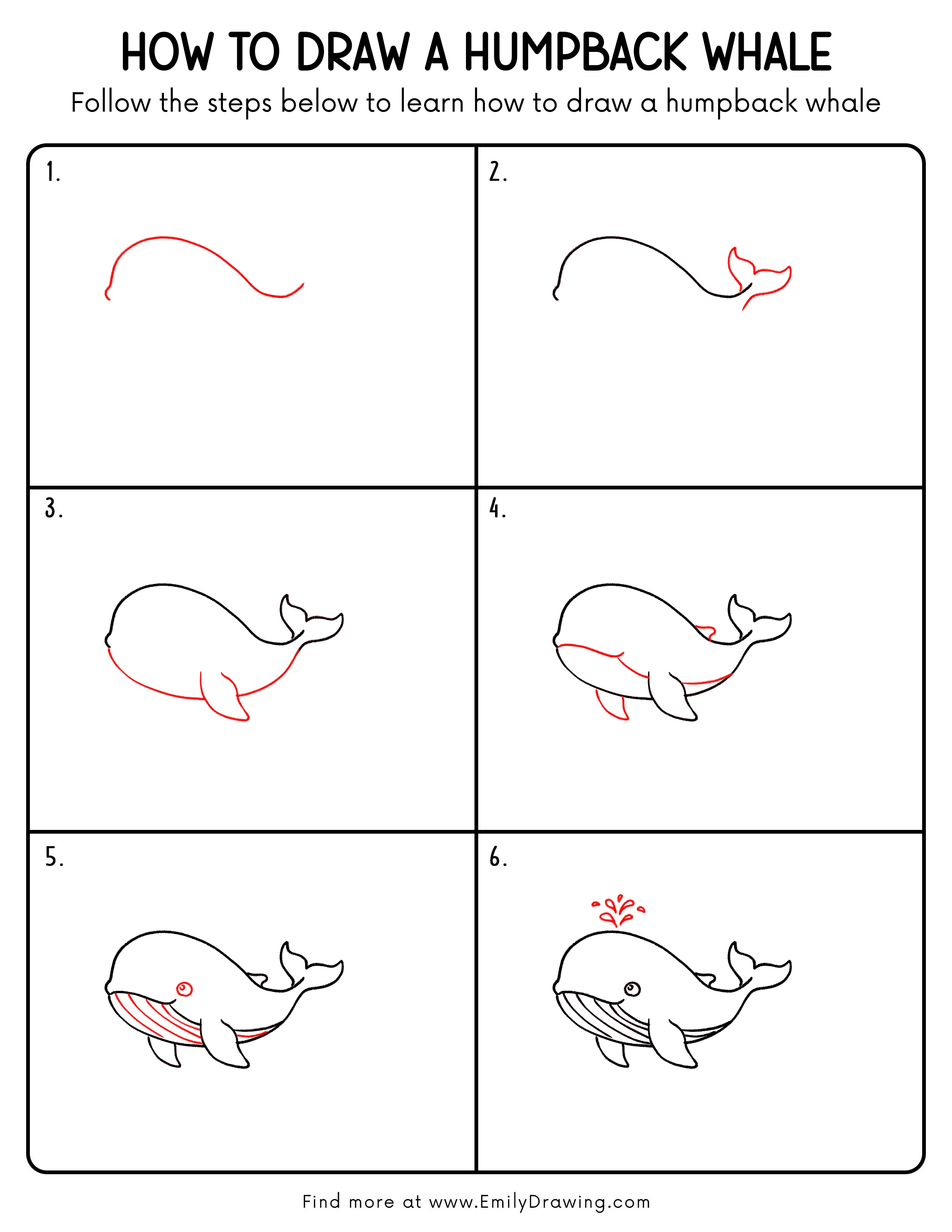 Printable Humpback Whale Drawing Guide